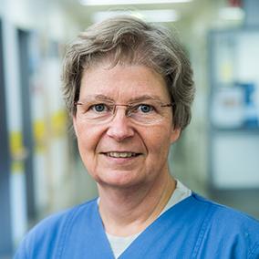 Dr. Ulrike Brünjes